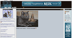 Desktop Screenshot of isbadeswetlana01.allmyblog.com